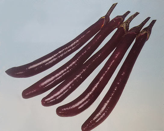紫冠——庥痘精国产入口2023*腾讯百科
