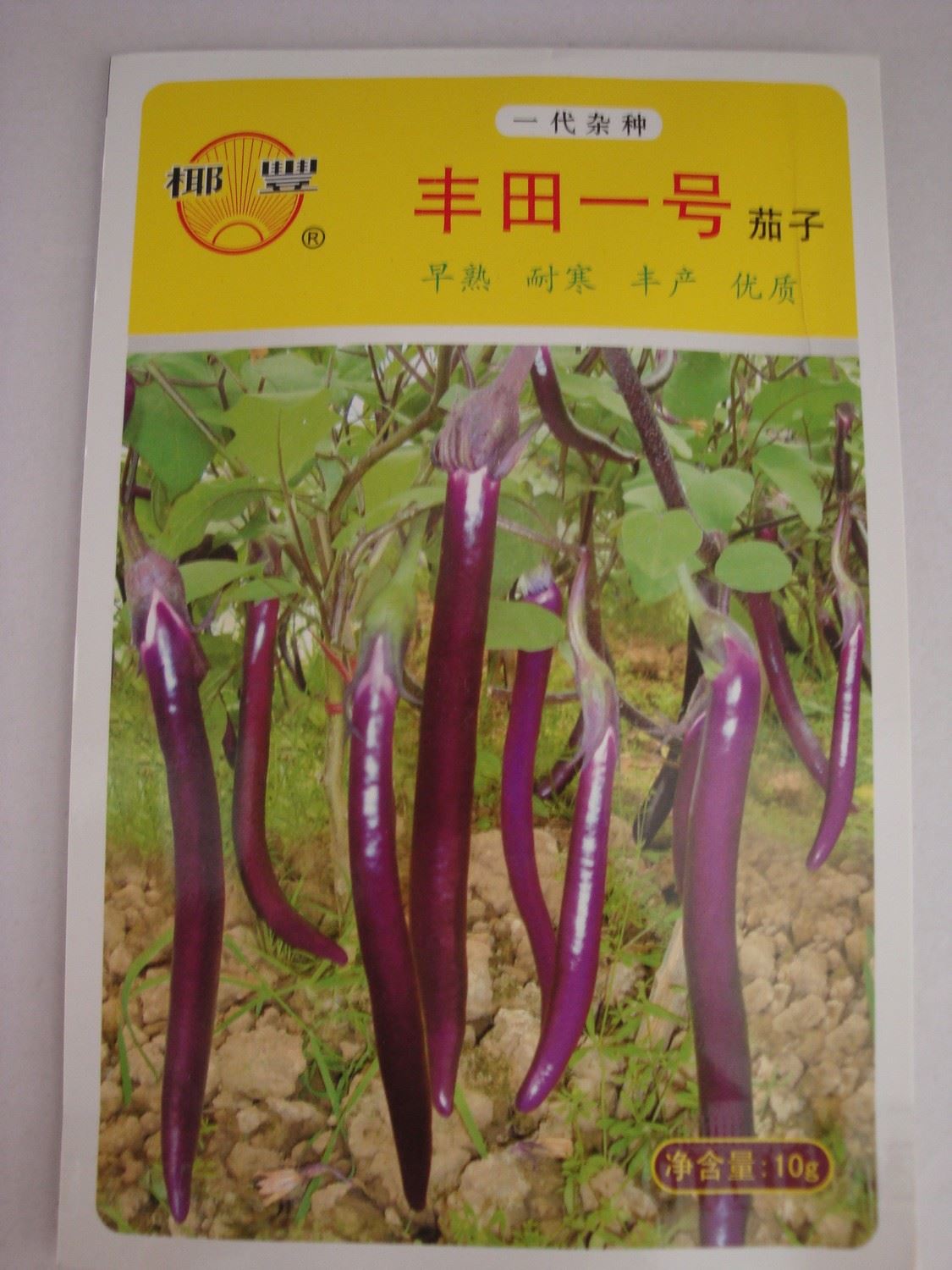 丰田一号—长茄种子